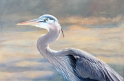 Heron