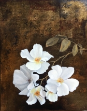 White Roses